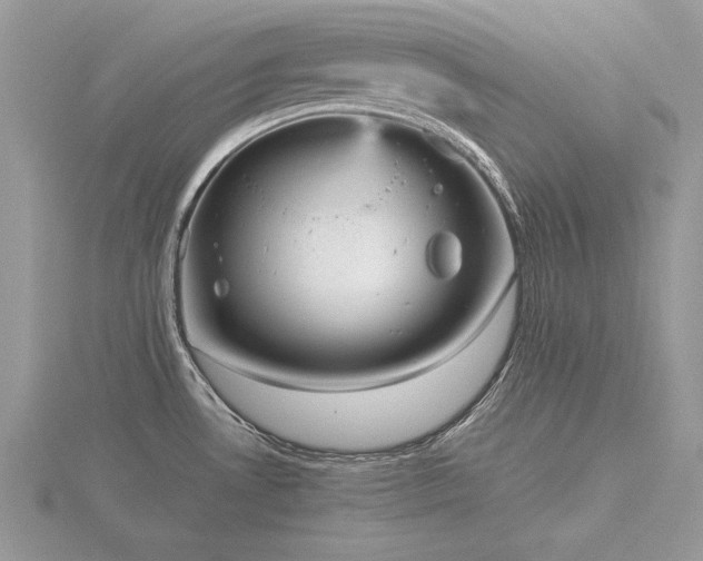 X0000116561530200912101439