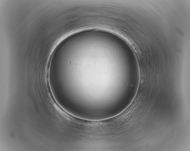 X0000116561535200912101439