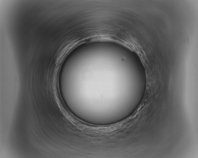 X0000116560001200912171419