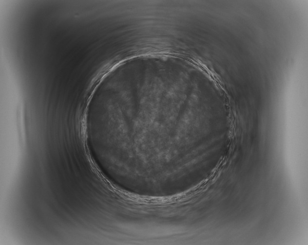 X0000116560002200912171419