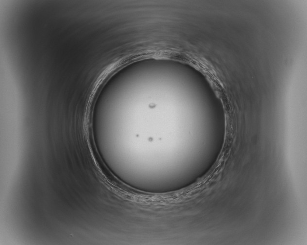 X0000116560003200912171419