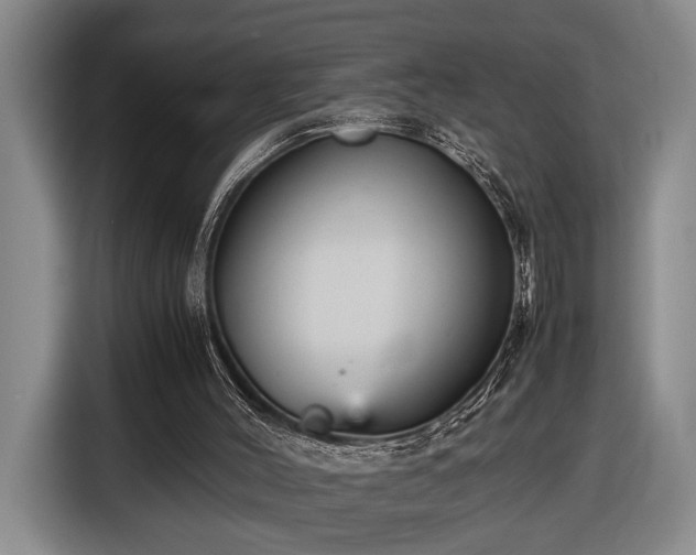 X0000116560004200912171419