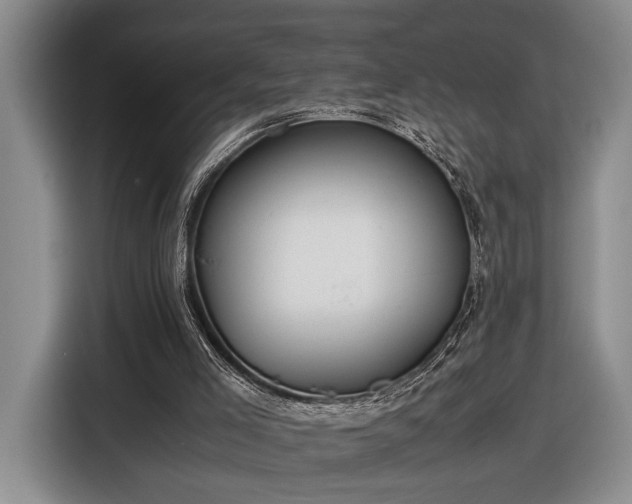 X0000116560005200912171419