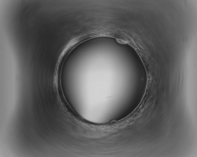 X0000116560006200912171419