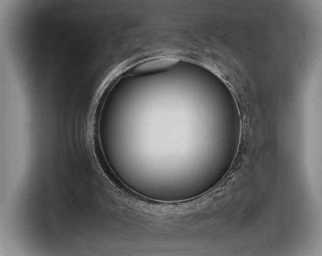 X0000116560007200912171419