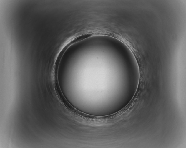 X0000116560008200912171419