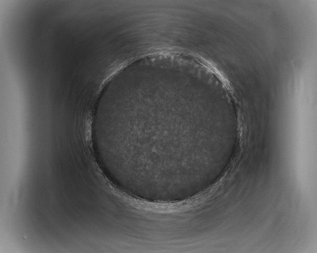 X0000116560010200912171419