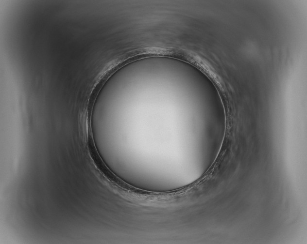 X0000116560011200912171419