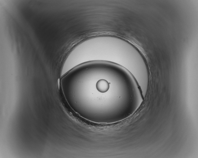 X0000116560013200912171419