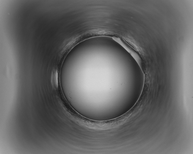 X0000116560014200912171419