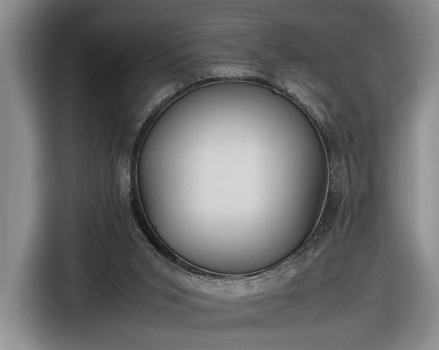 X0000116560015200912171419