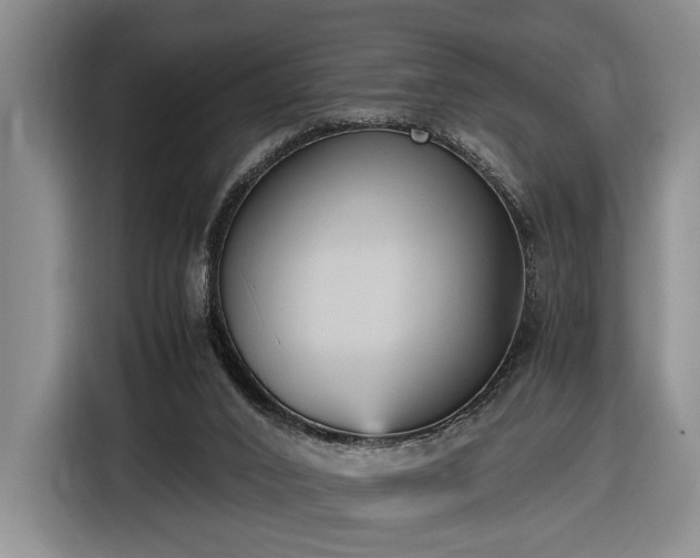 X0000116560016200912171419