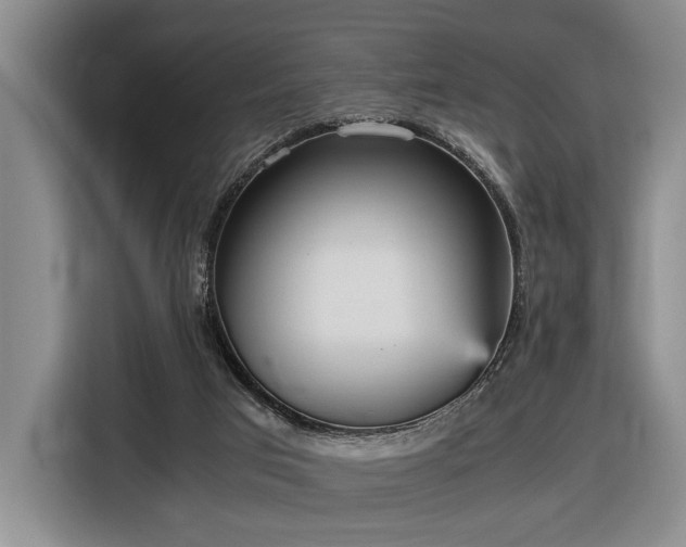 X0000116560017200912171419