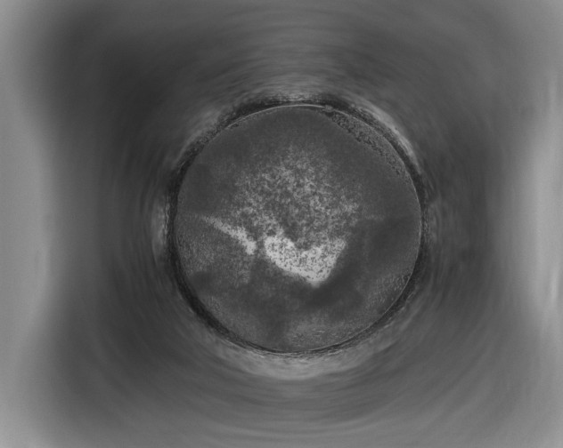 X0000116560018200912171419