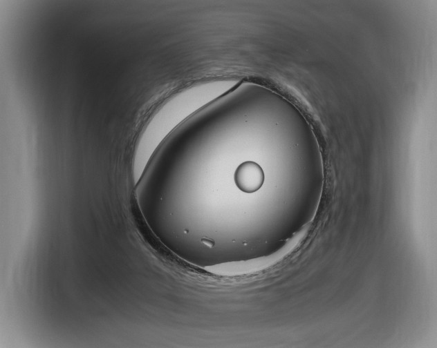 X0000116560019200912171419