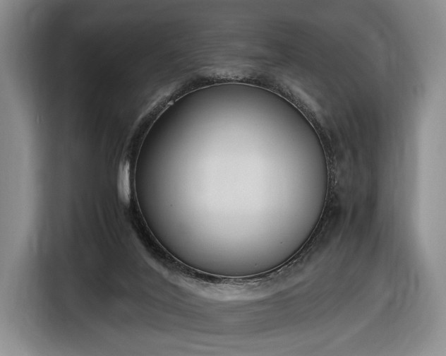 X0000116560020200912171419