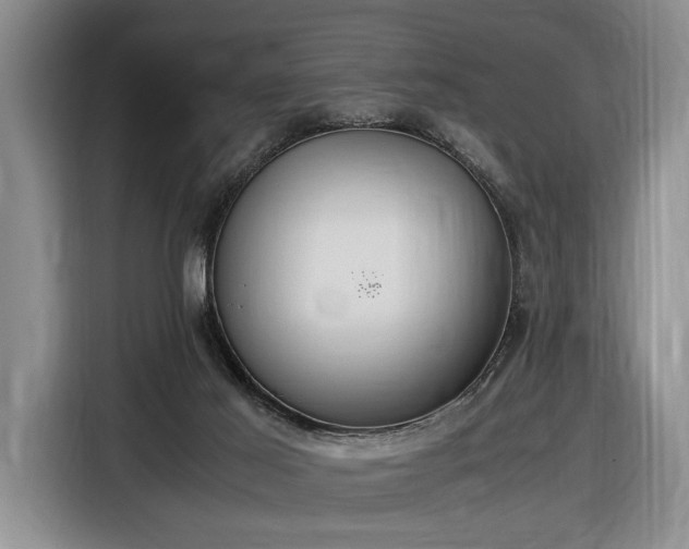 X0000116560021200912171419