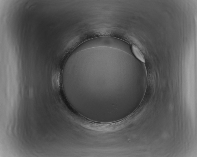 X0000116560023200912171418