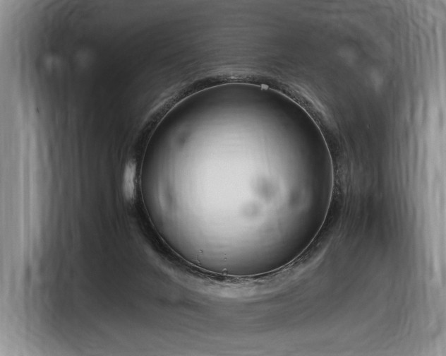 X0000116560024200912171418