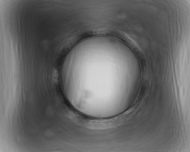 X0000116560025200912171418