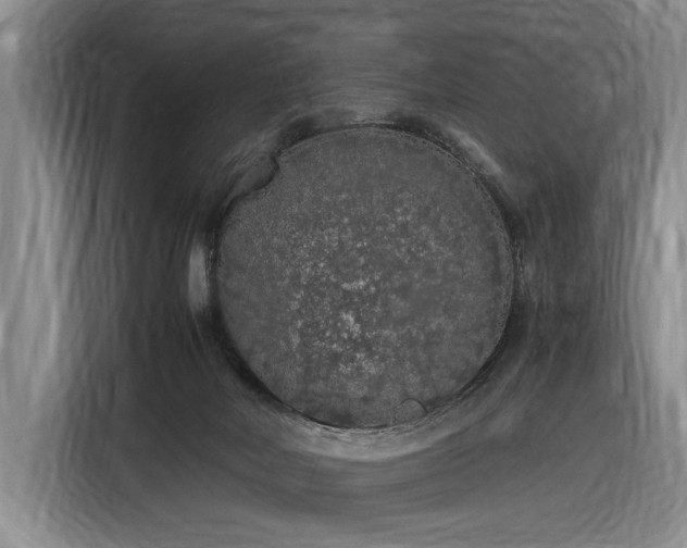 X0000116560026200912171418