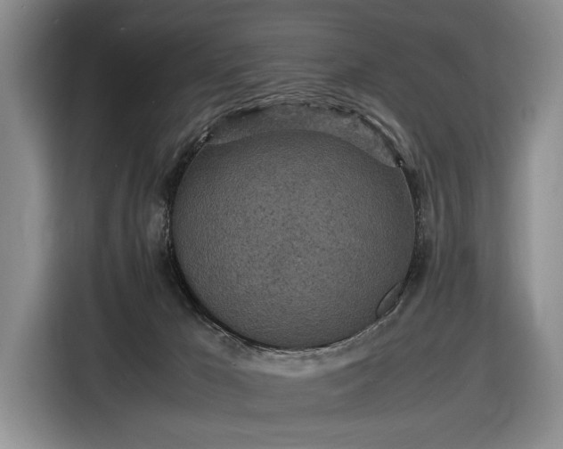 X0000116560029200912171418