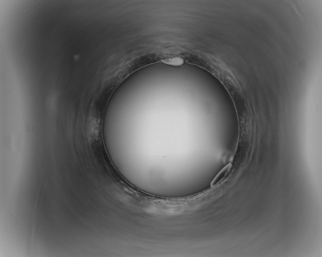 X0000116560033200912171418