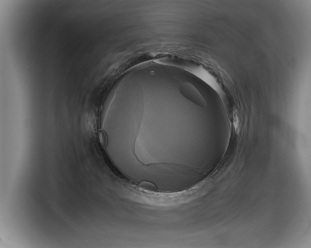 X0000116560035200912171418