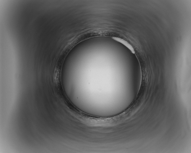 X0000116560036200912171418