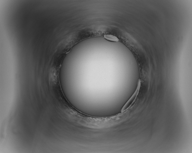 X0000116560037200912171418