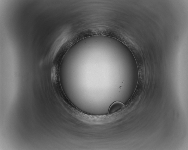 X0000116560038200912171418