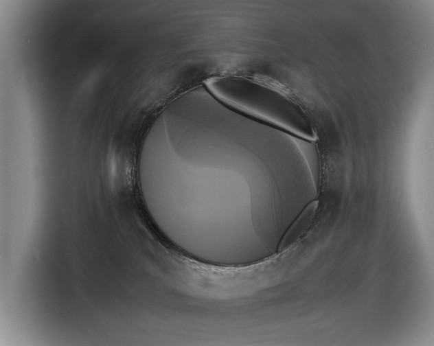 X0000116560039200912171418