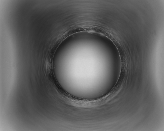 X0000116560040200912171418