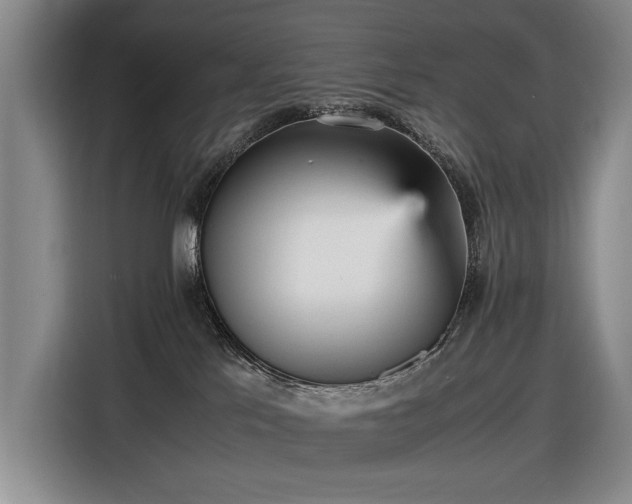 X0000116560041200912171418