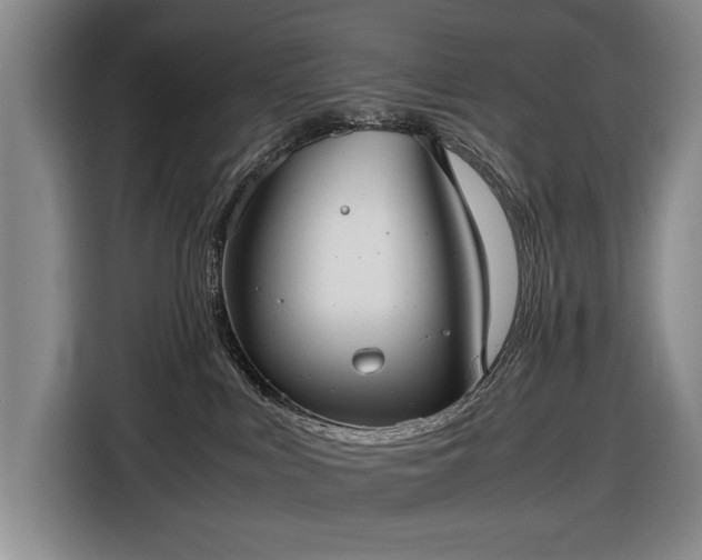 X0000116560043200912171418