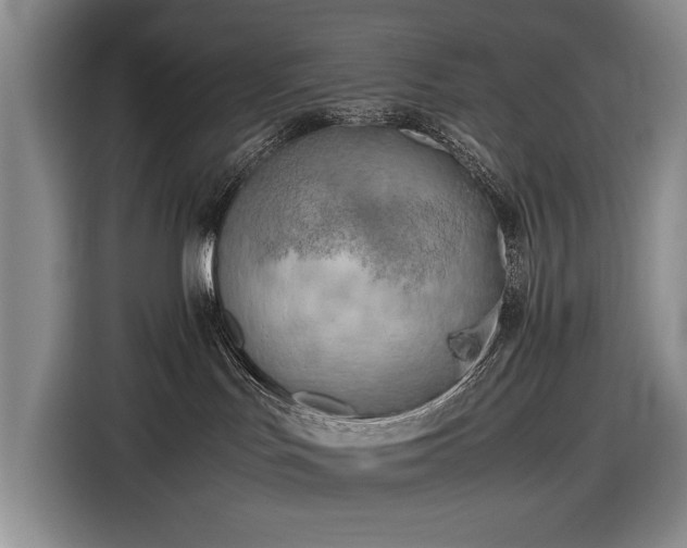 X0000116560047200912171418