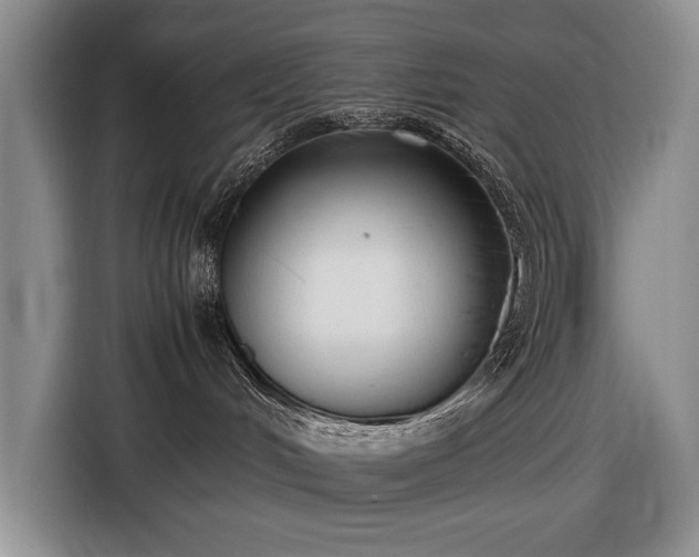 X0000116560048200912171418