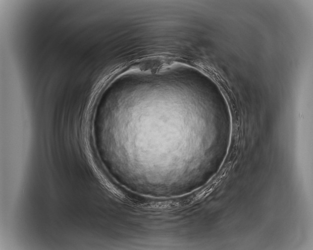 X0000116560049200912171418