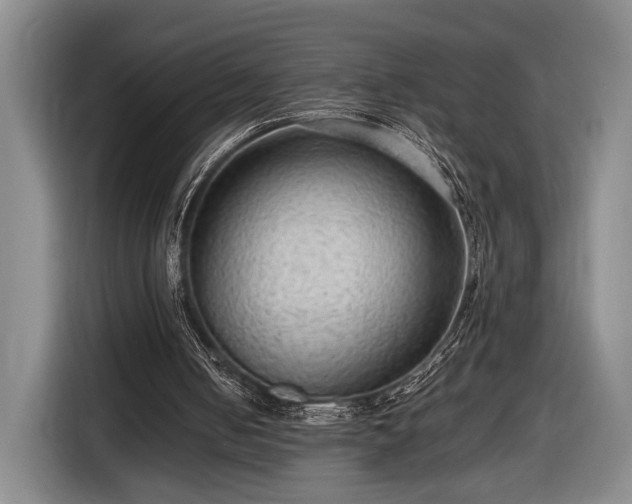 X0000116560050200912171418