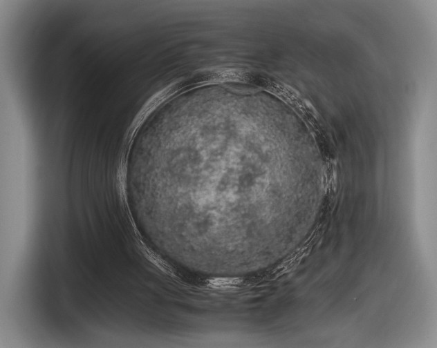 X0000116560051200912171418