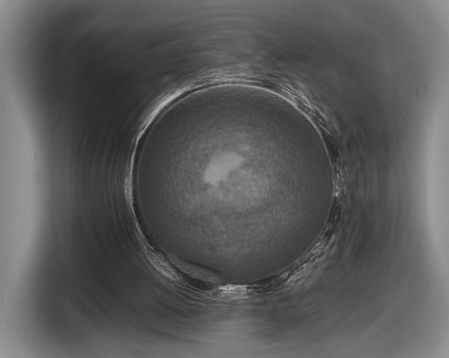 X0000116560052200912171418