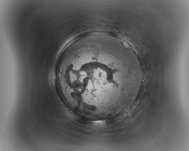 X0000116560053200912171418