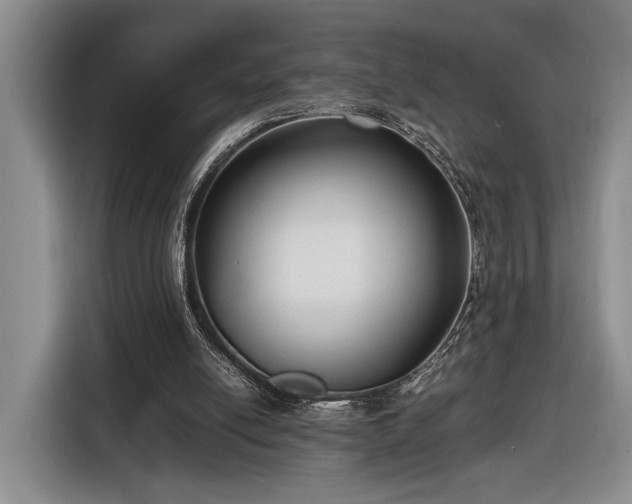 X0000116560054200912171418