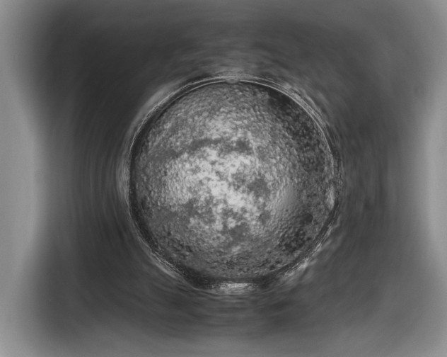 X0000116560055200912171418