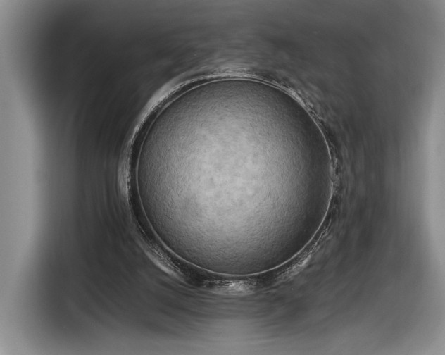 X0000116560056200912171418