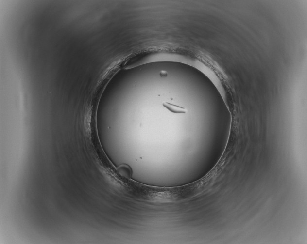 X0000116560058200912171418