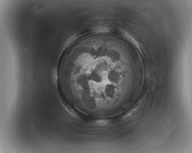 X0000116560059200912171418