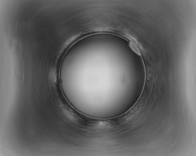 X0000116560060200912171418