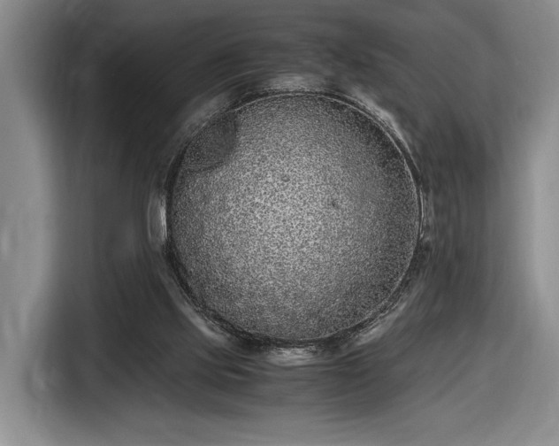 X0000116560061200912171418