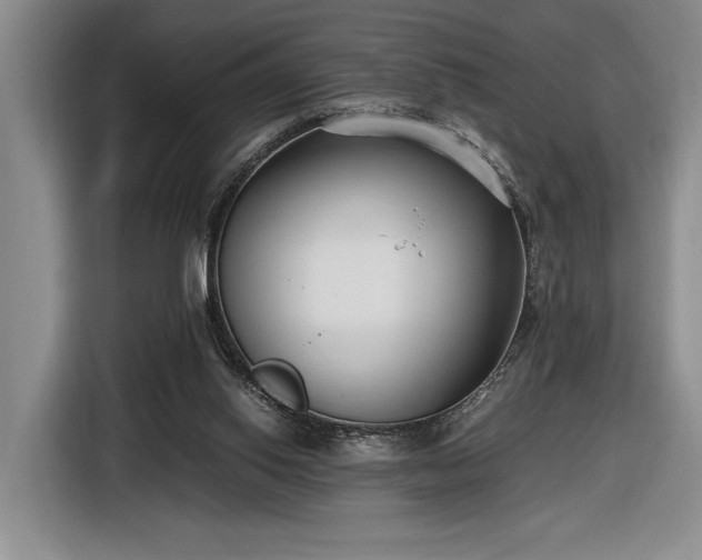 X0000116560062200912171418